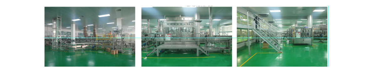 Production line packaging machine