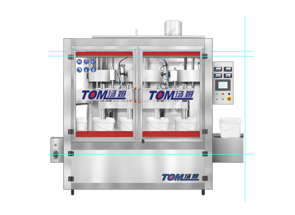 DGP-CZ Automatic weighing style filling machine (10-30kg)
